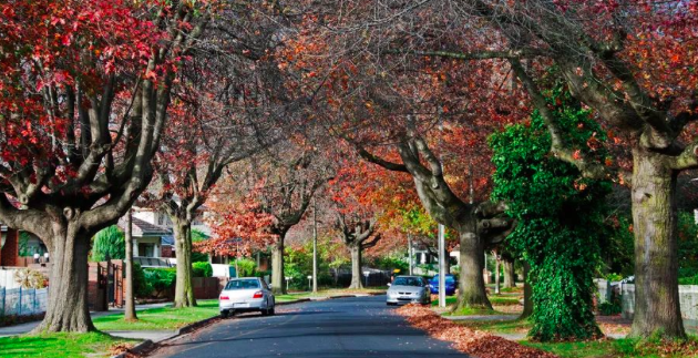 melbourne-s-most-famous-old-chinese-district-prosperous-chinese